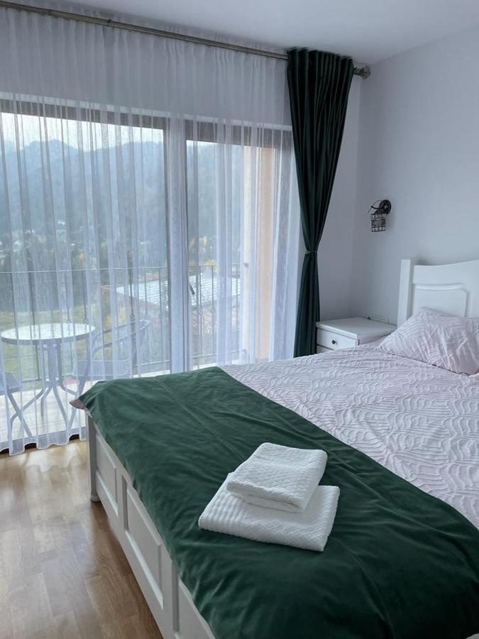 Silver Mountain Villa Colibiţa Esterno foto